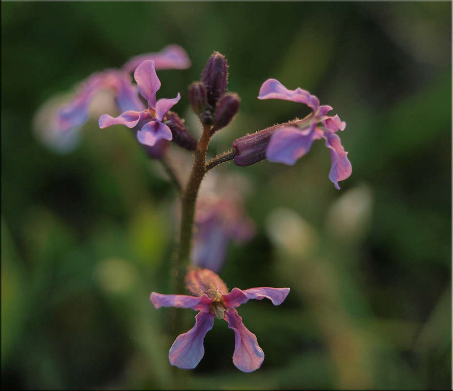 ������ ������� ����� ������  �� PhotoGeek.ru #������ ��� �������