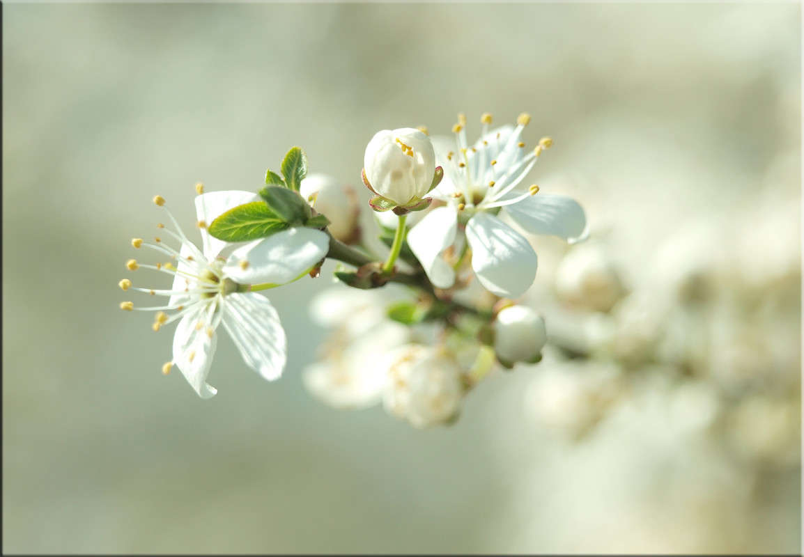 �������� � ����� ����� ������  �� PhotoGeek.ru #������ ��� �������