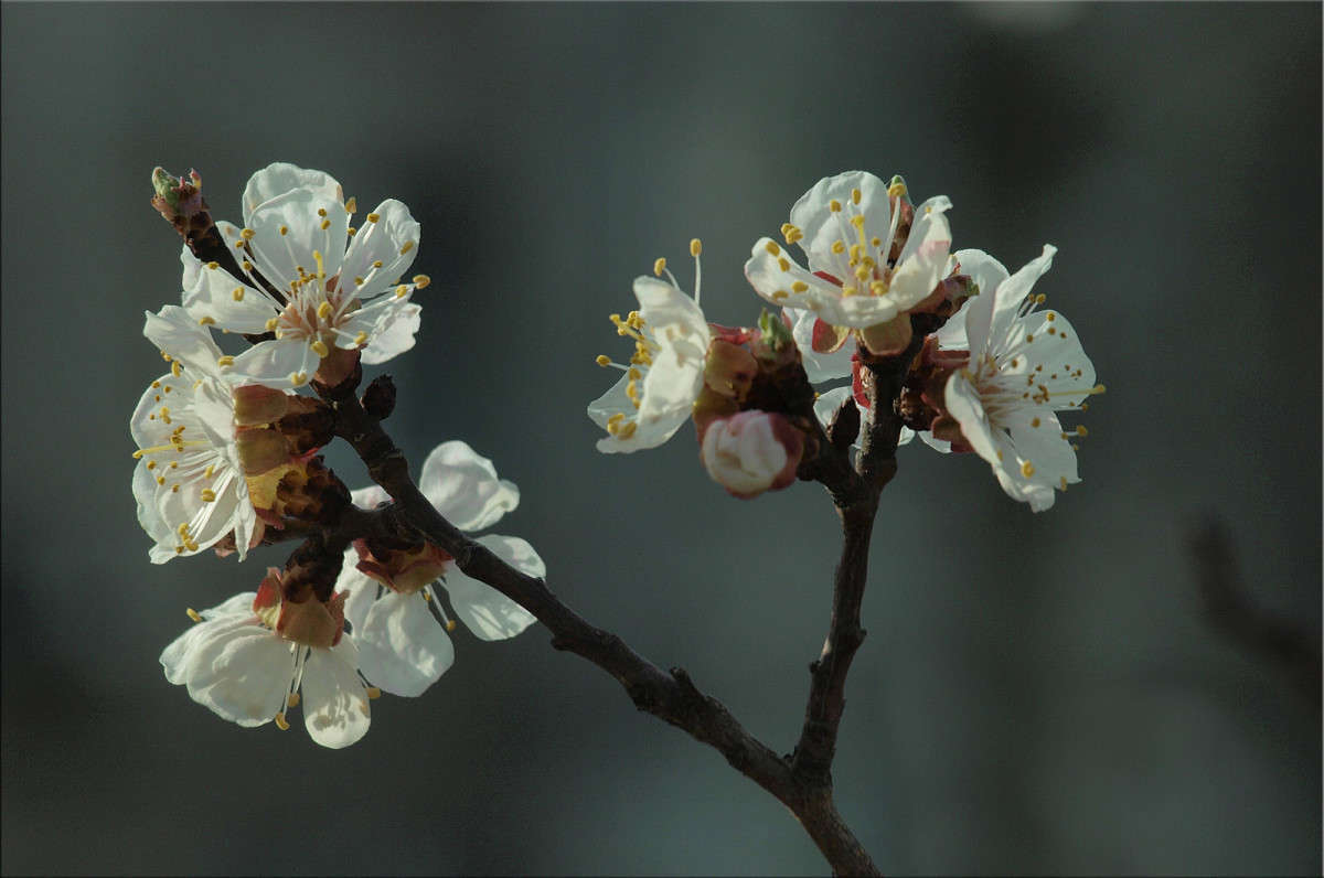 �� �������� 5 ����� ������  �� PhotoGeek.ru #������ ��� �������