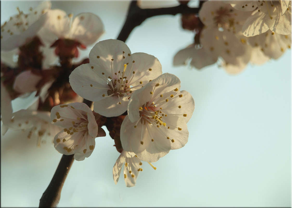 �� �������� 4 ����� ������  �� PhotoGeek.ru #������ ��� �������