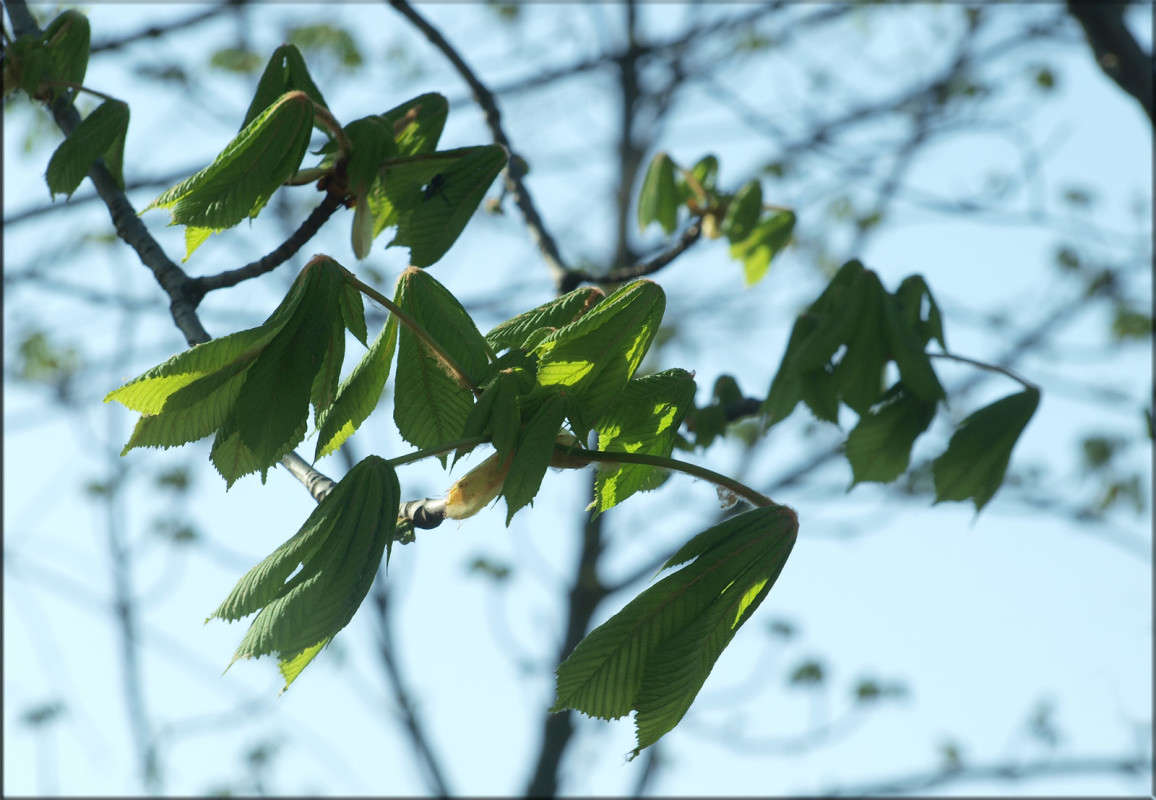 ���������� ������ 5 ����� ������  �� PhotoGeek.ru #������ ��� �������