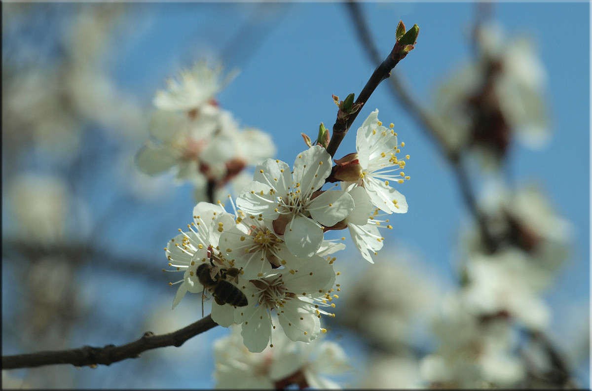 � ������� ����� ������  �� PhotoGeek.ru #������ ��� �������