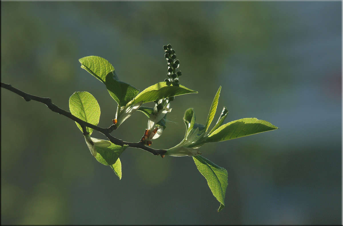 ���������� ������ 4 ����� ������  �� PhotoGeek.ru #������ ��� �������