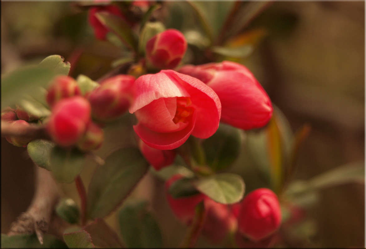 ��������� ����� ������  �� PhotoGeek.ru #������ ��� �������