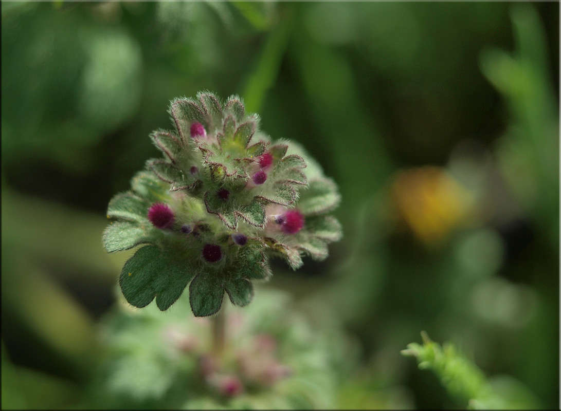 �������� ����� ������  �� PhotoGeek.ru #������ ��� �������