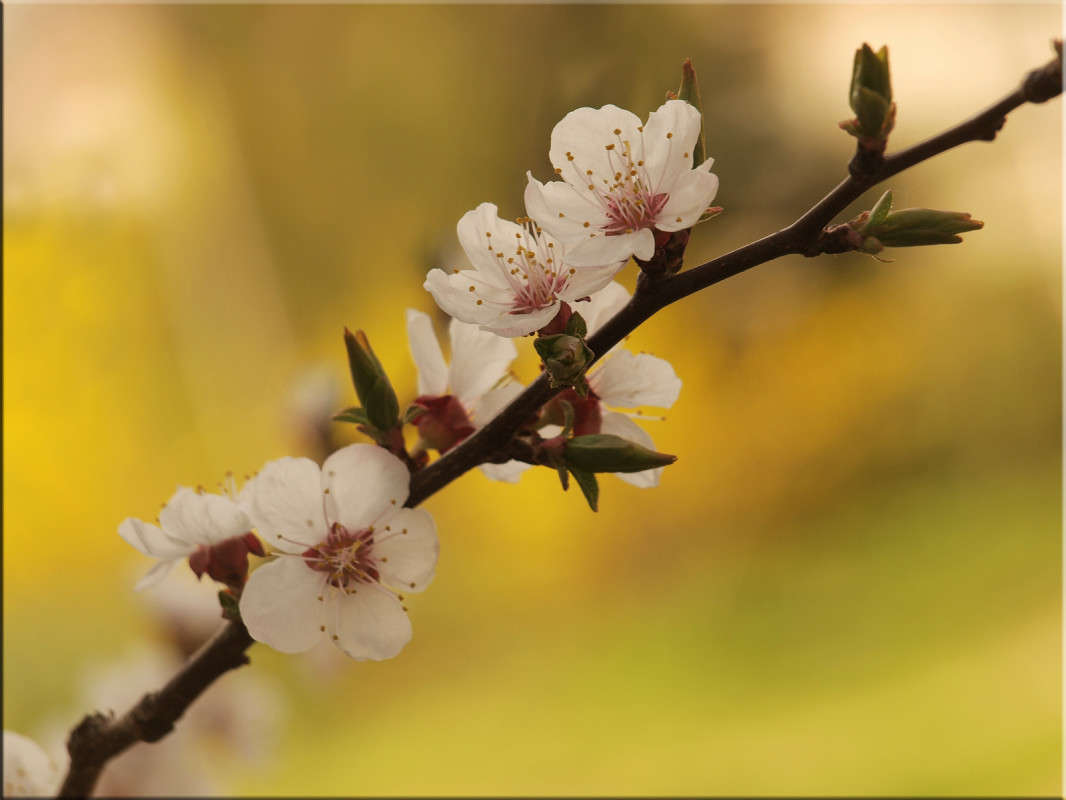 � ���� ����� ������  �� PhotoGeek.ru #������ ��� �������