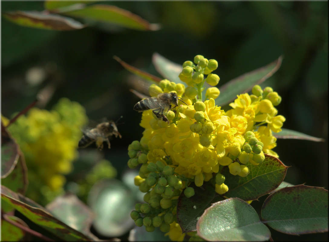 �� ������� �������� ����� ������  �� PhotoGeek.ru #������ ��� �������