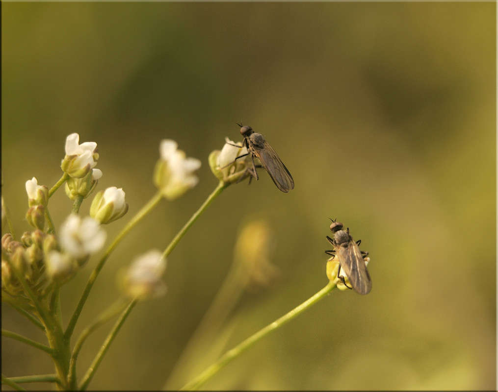 ����� ����� ������  �� PhotoGeek.ru #�������� ���