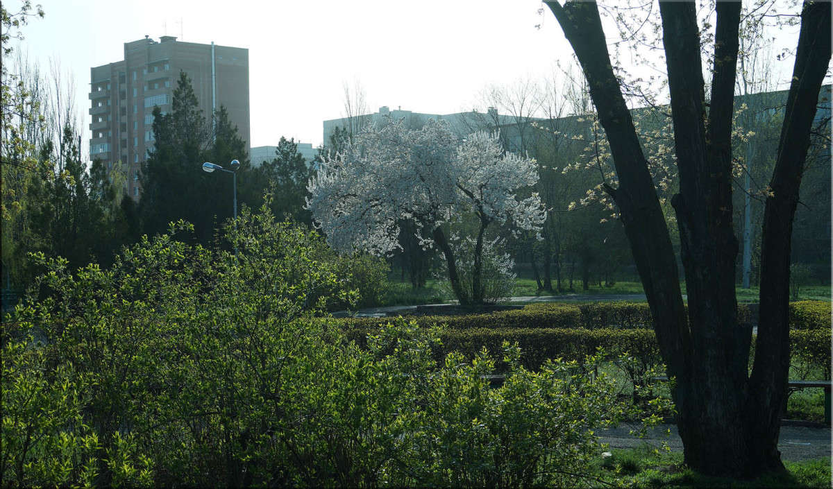 ������ ���� ����� ������  �� PhotoGeek.ru #�����