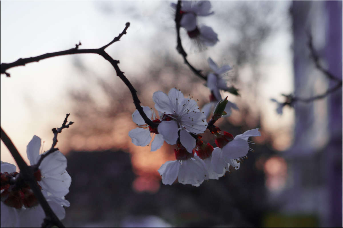 ������� ����� ����� ������  �� PhotoGeek.ru #������ ��� �������