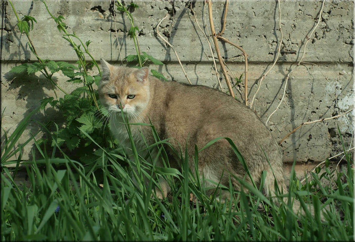 �� ������� ����� ������  �� PhotoGeek.ru #�������� ���