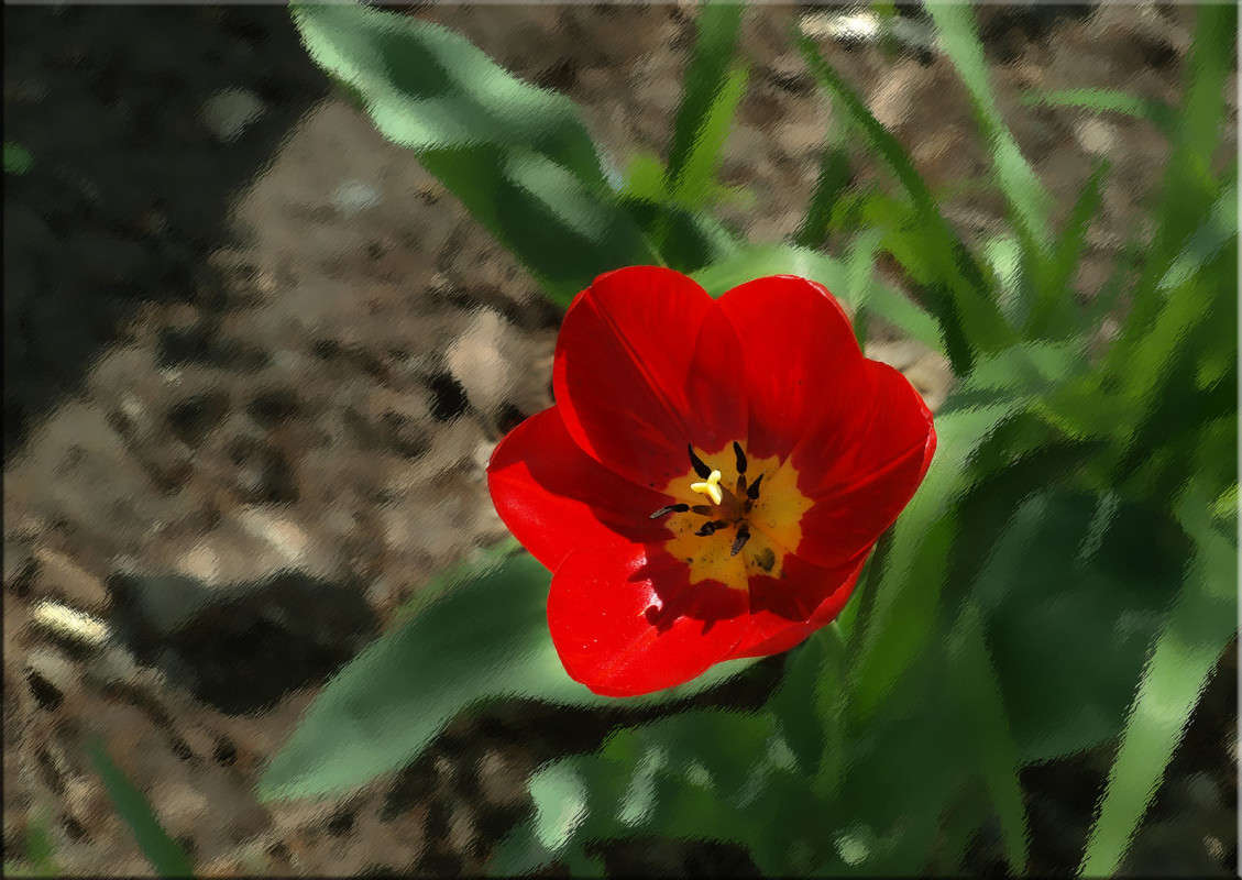 ����������� ����� ������  �� PhotoGeek.ru #������ ��� �������