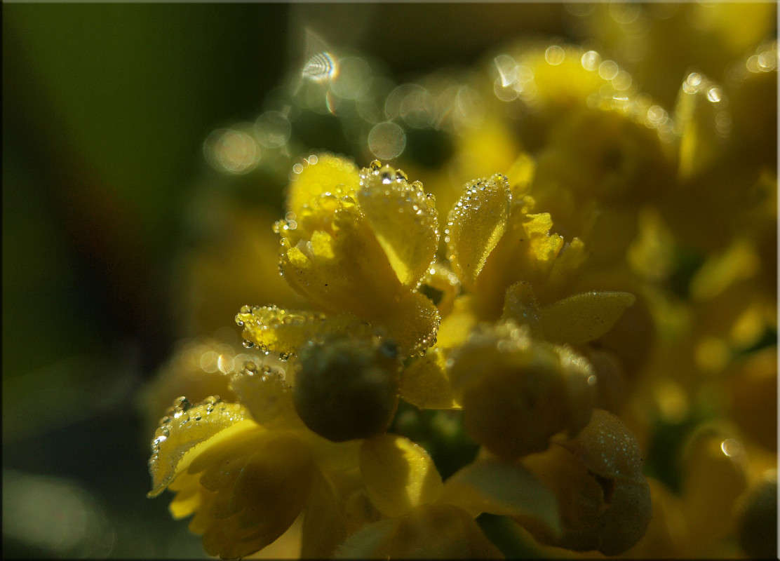 ����������� ����� ������  �� PhotoGeek.ru #������ ��� �������