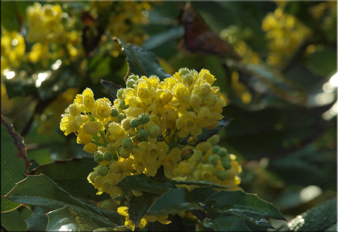 ����������� 2 ����� ������  �� PhotoGeek.ru #������ ��� �������