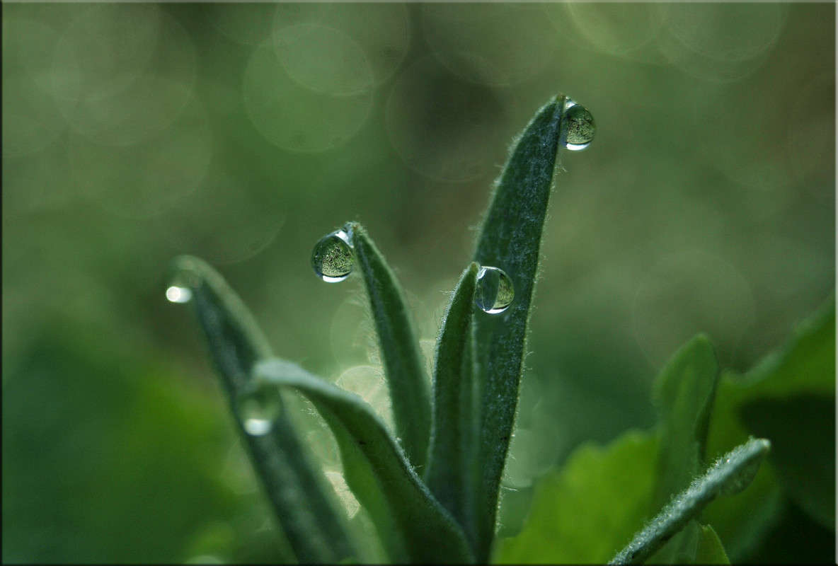 ����������� 3 ����� ������  �� PhotoGeek.ru #������ ��� �������