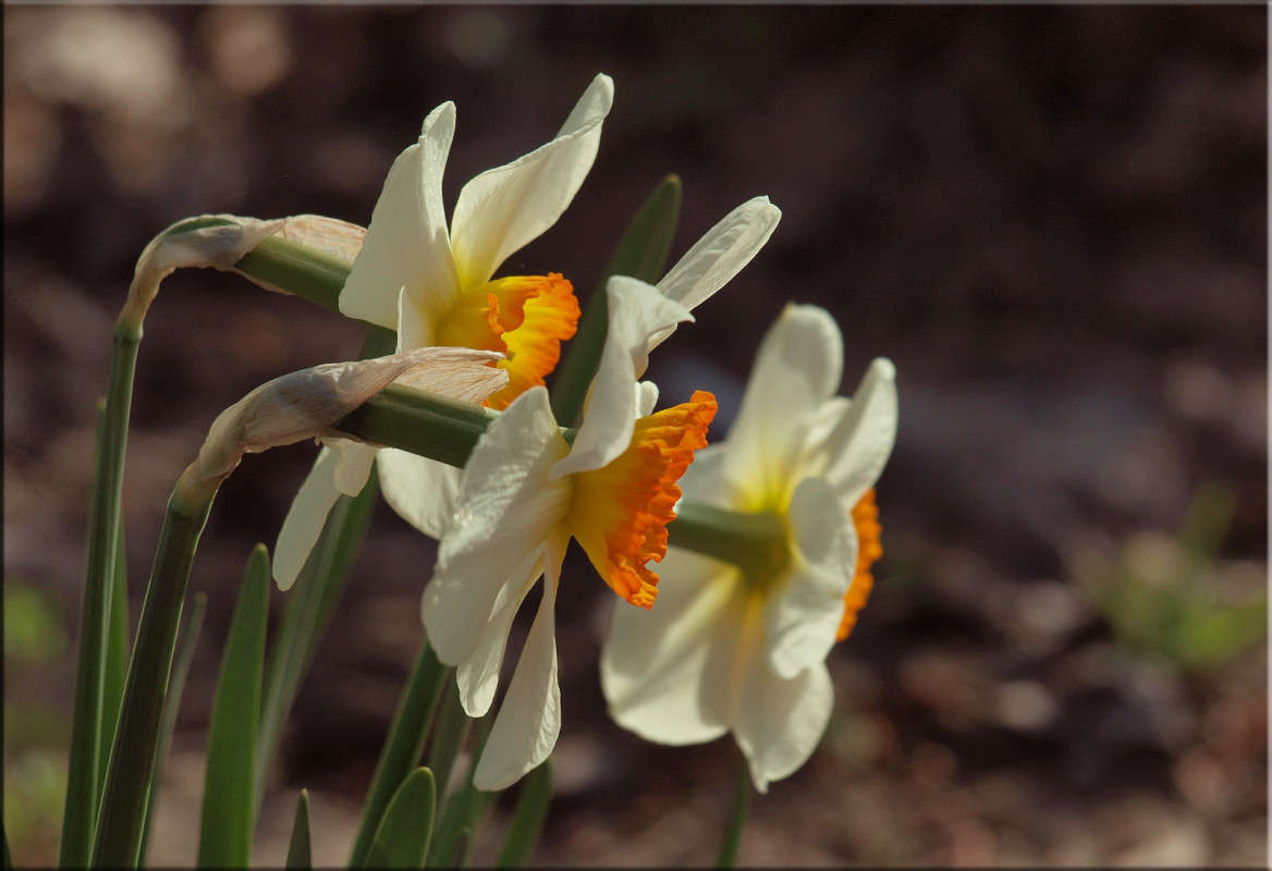 � ������� ����� ������  �� PhotoGeek.ru #������ ��� �������