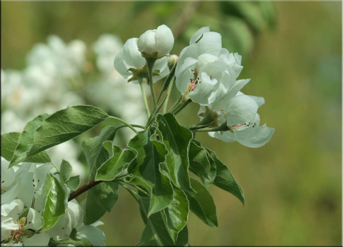 ����� 2 ����� ������  �� PhotoGeek.ru #������ ��� �������