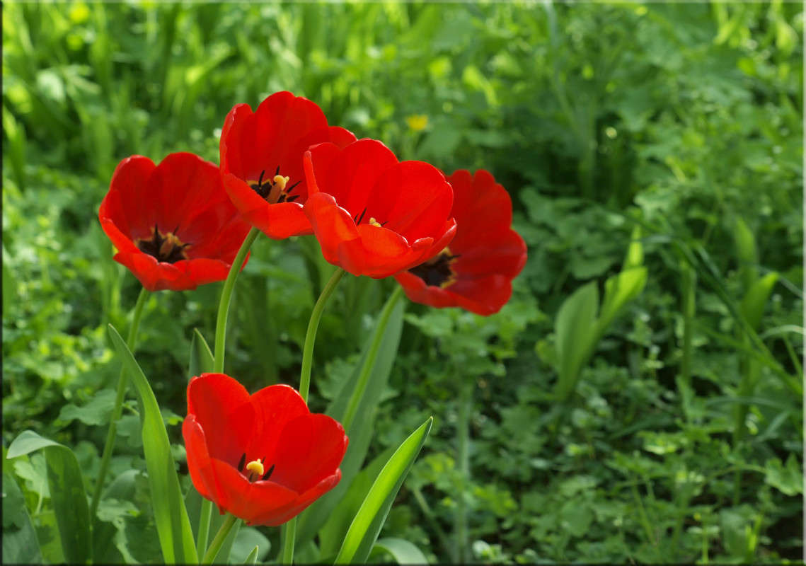 ���� ��������� 3 ����� ������  �� PhotoGeek.ru #������ ��� �������