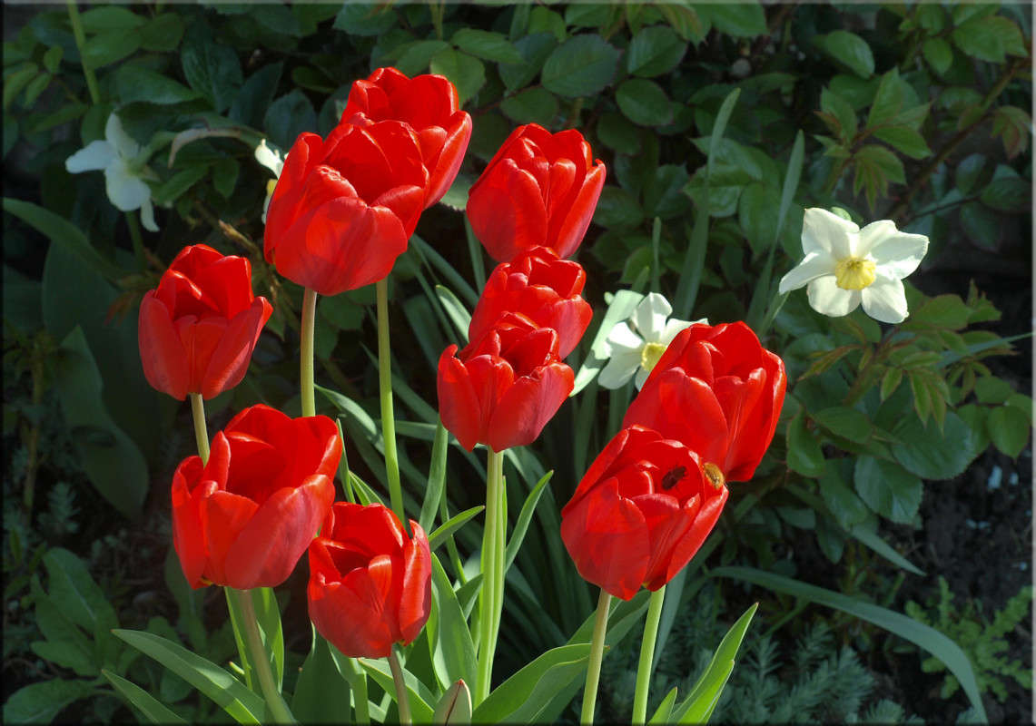 ���� ��������� ����� ������  �� PhotoGeek.ru #������ ��� �������