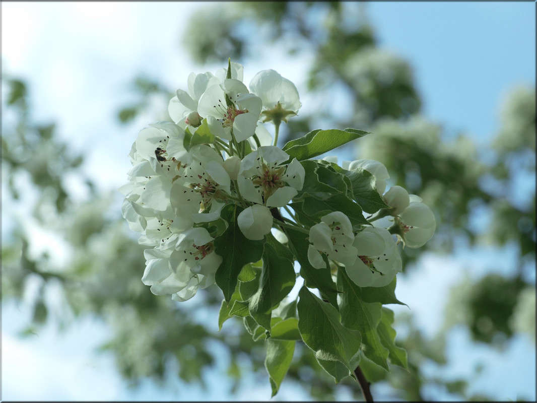 ����� ����� ������  �� PhotoGeek.ru #������ ��� �������