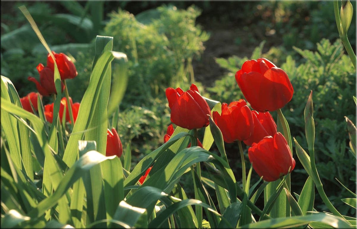 ���� ��������� 2 ����� ������  �� PhotoGeek.ru #������ ��� �������