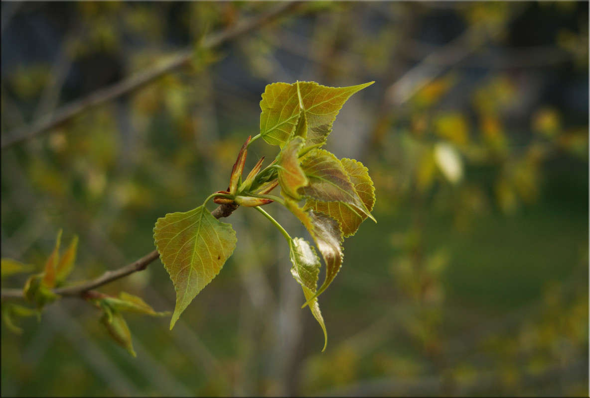 � ������� 3 ����� ������  �� PhotoGeek.ru #������ ��� �������