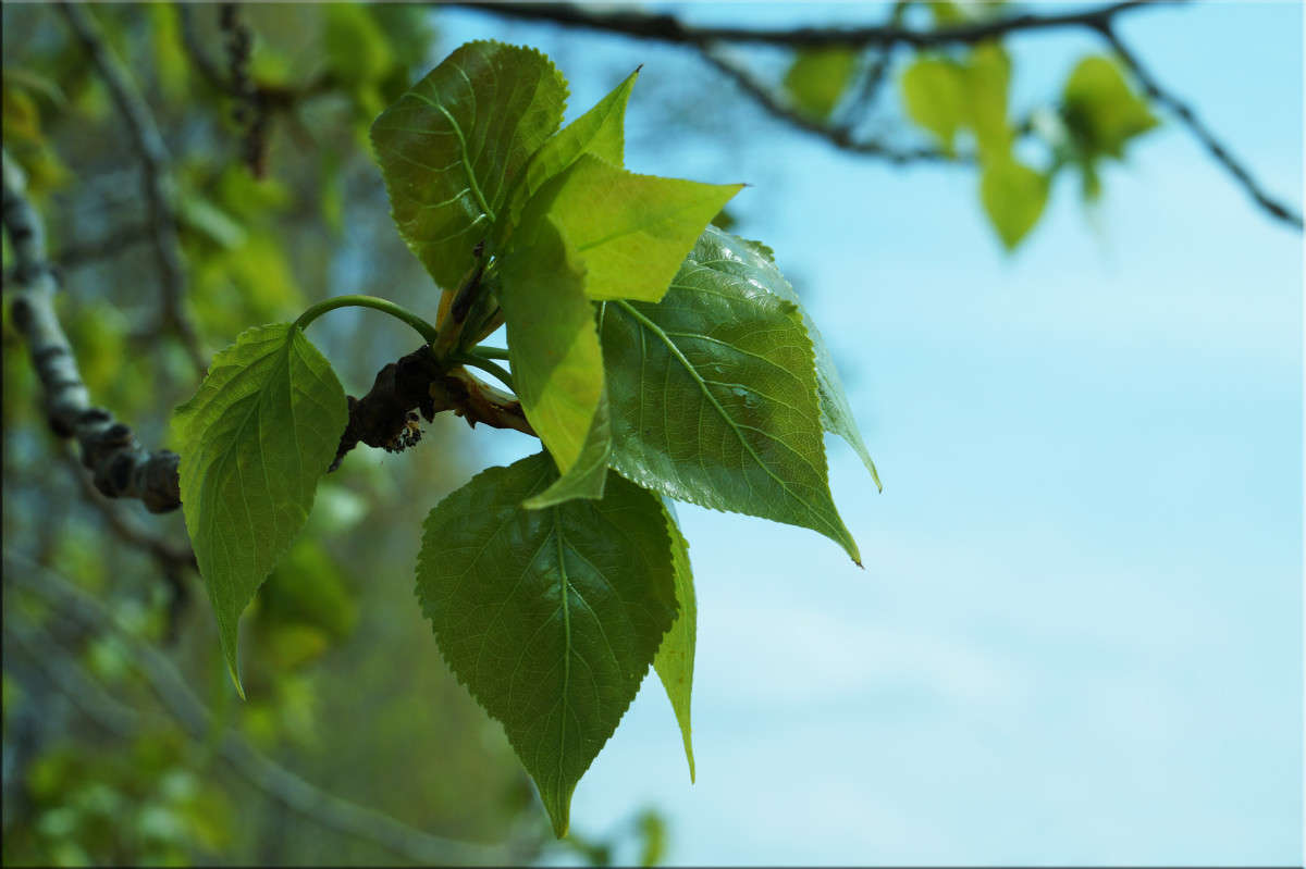 � ������� 4 ����� ������  �� PhotoGeek.ru #������ ��� �������