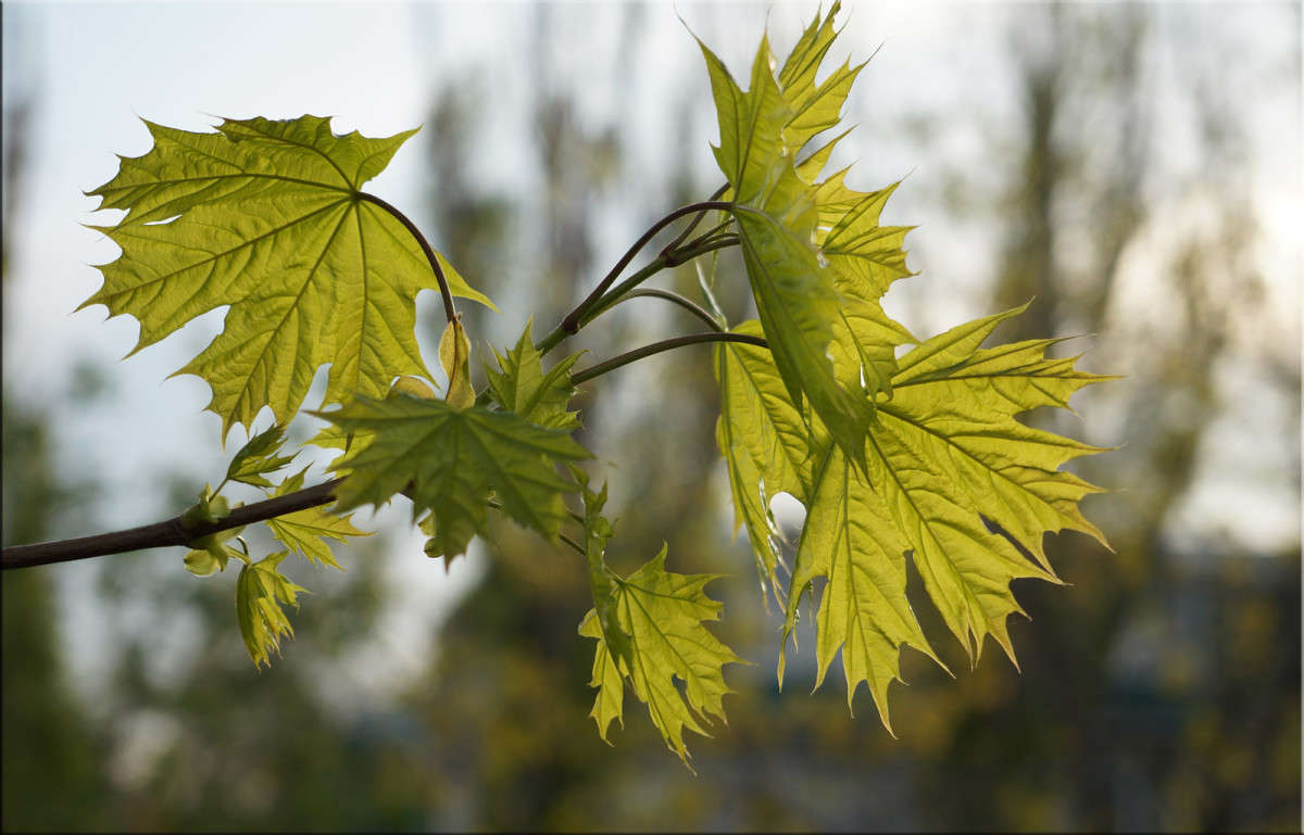 � ������� 5 ����� ������  �� PhotoGeek.ru #������ ��� �������