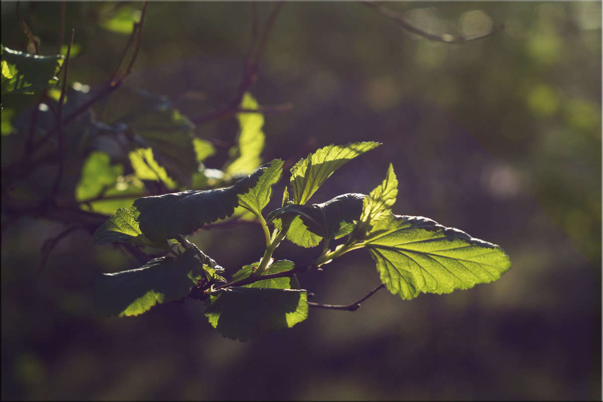 � ������� 2 ����� ������  �� PhotoGeek.ru #������ ��� �������