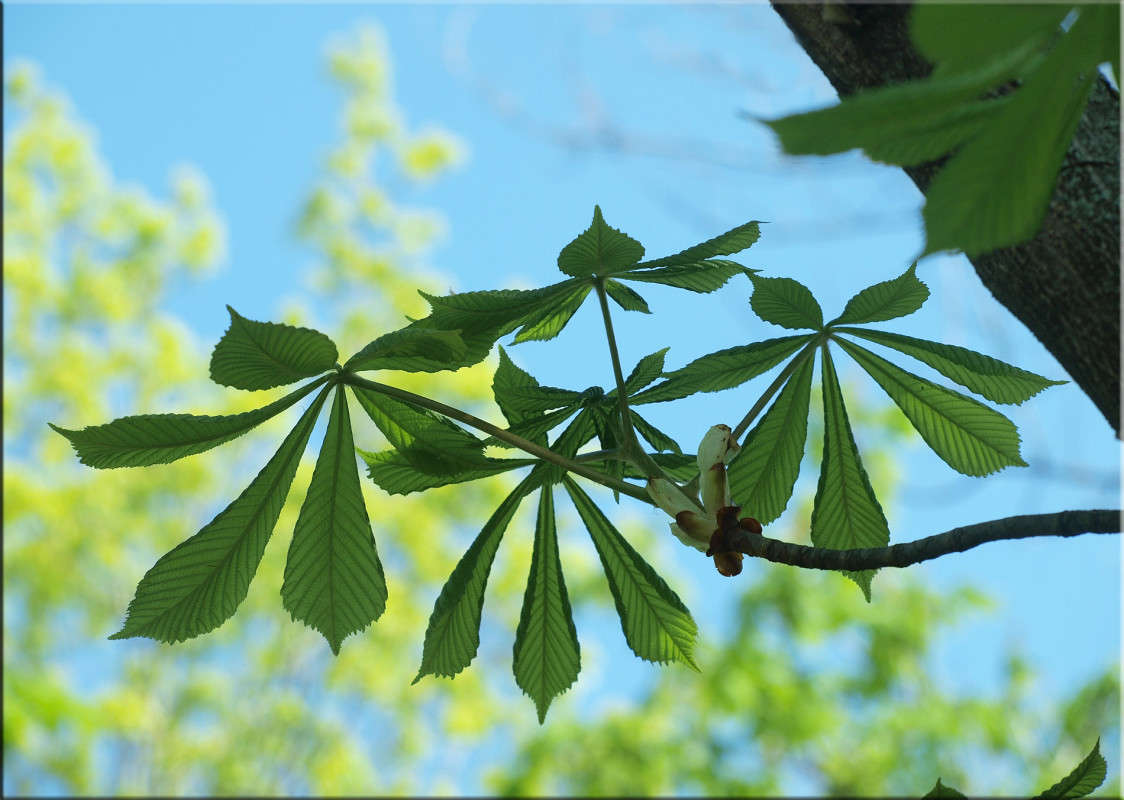 � ������� ����� ������  �� PhotoGeek.ru #������ ��� �������