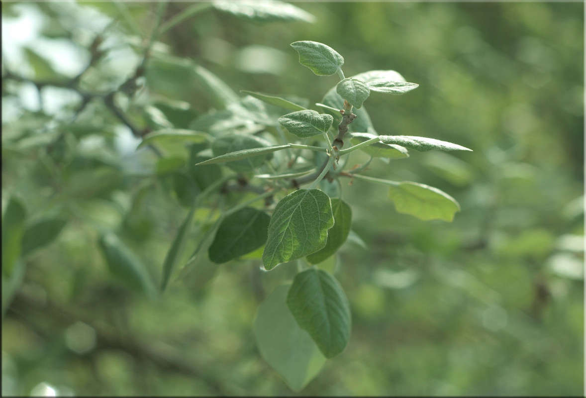 � ������� 7 ����� ������  �� PhotoGeek.ru #������ ��� �������