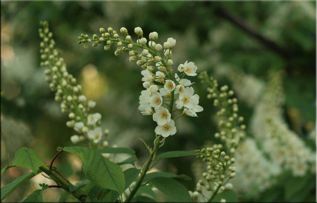 ������� ����� ����� ������  �� PhotoGeek.ru #������ ��� �������