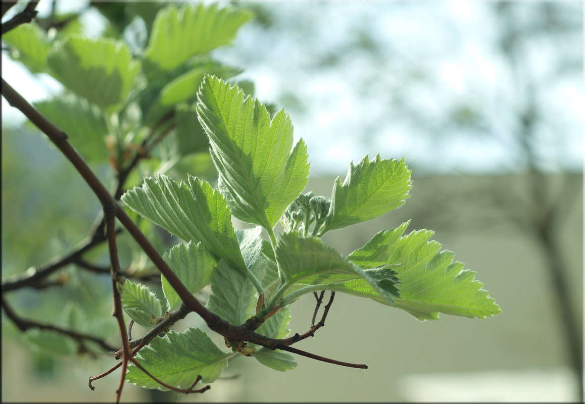 � ������� 6 ����� ������  �� PhotoGeek.ru #������ ��� �������