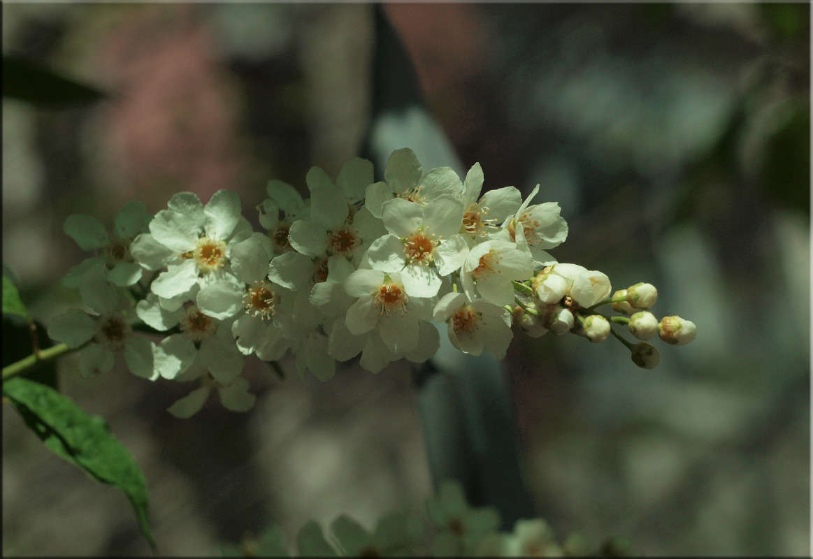 �������� ���� 3 ����� ������  �� PhotoGeek.ru #������ ��� �������