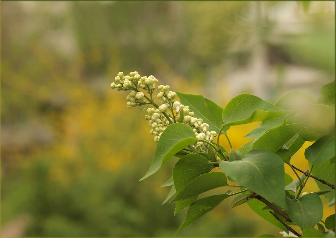 ������� 2 ����� ������  �� PhotoGeek.ru #������ ��� �������