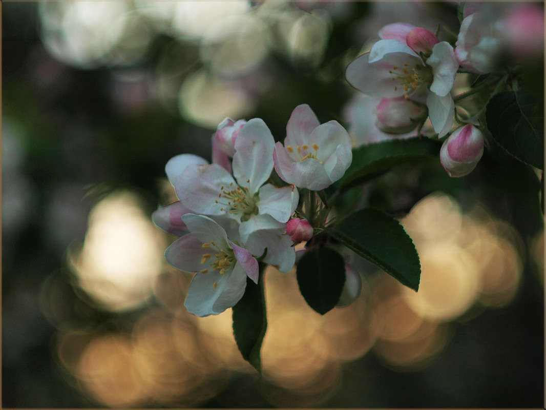 ������� ����� ������  �� PhotoGeek.ru #������ ��� �������