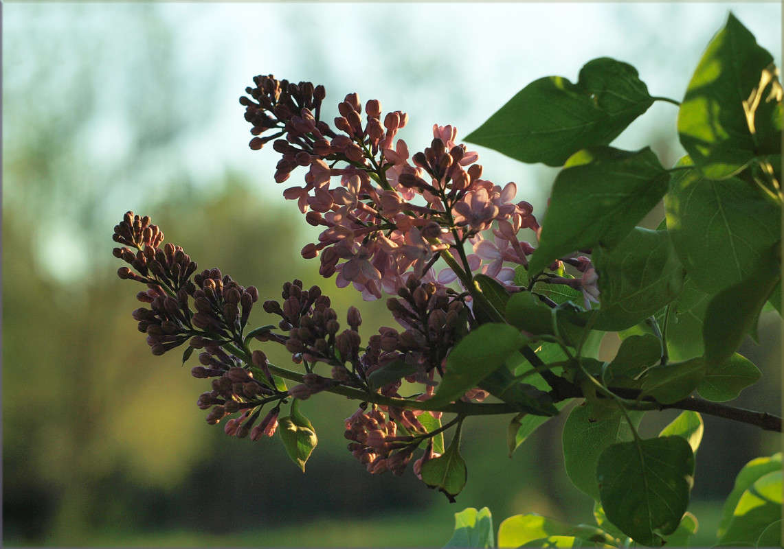 ������� ����� ������  �� PhotoGeek.ru #������ ��� �������