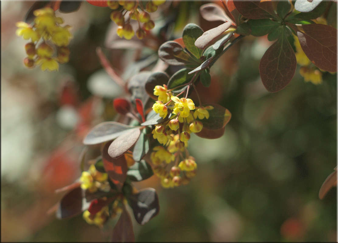 ����������� �������� ����� ������  �� PhotoGeek.ru #������ ��� �������