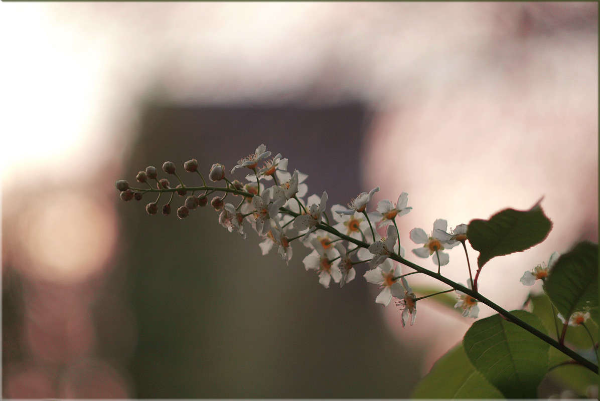 ������� 6 ����� ������  �� PhotoGeek.ru #������ ��� �������