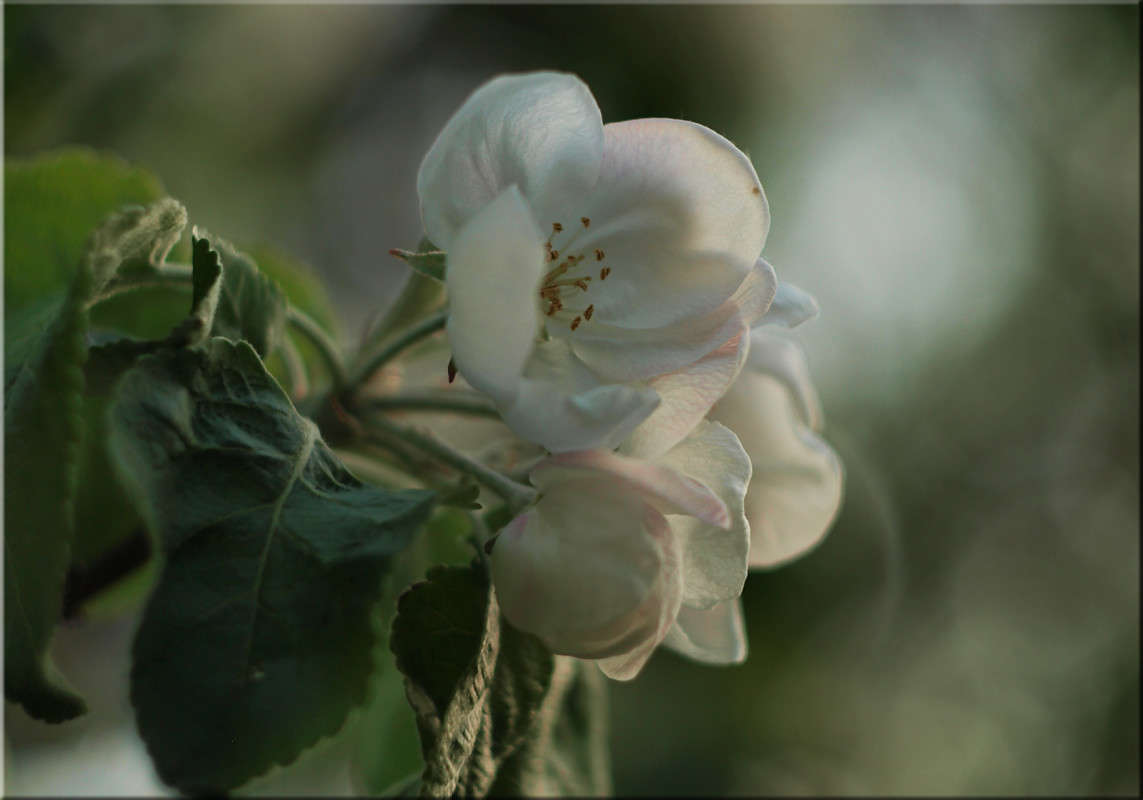 ������� 5 ����� ������  �� PhotoGeek.ru #������ ��� �������