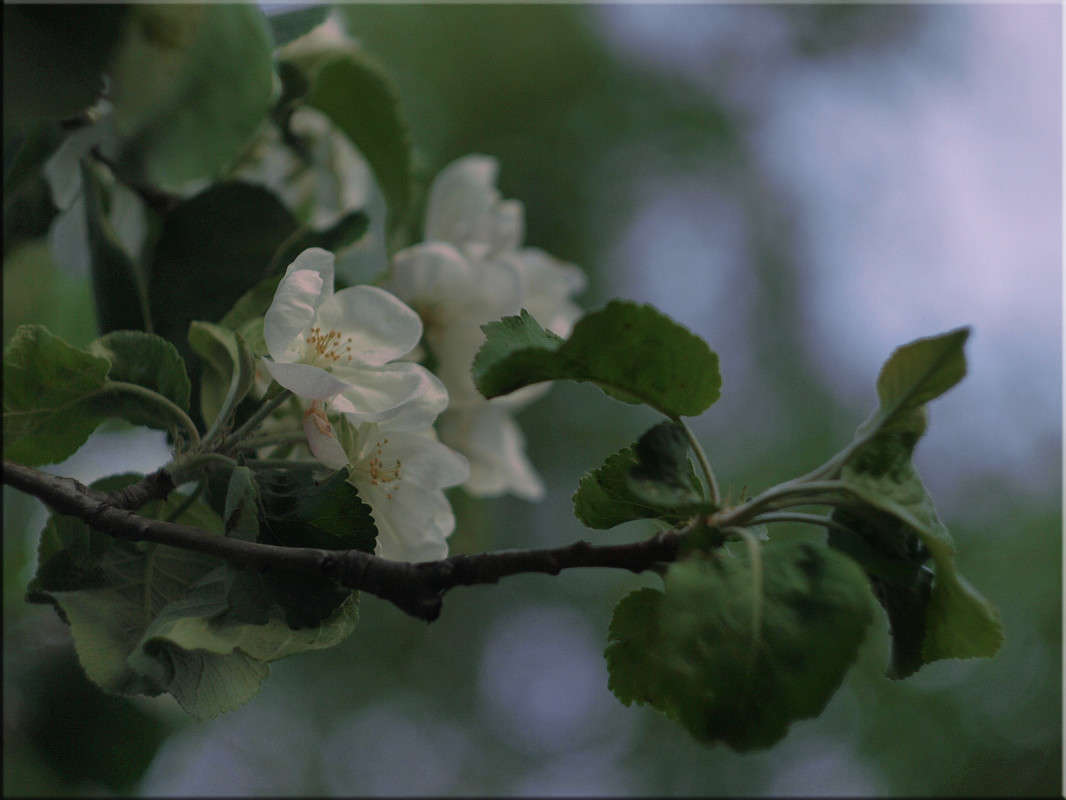 ������� 4 ����� ������  �� PhotoGeek.ru #������ ��� �������