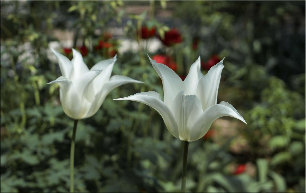 ����� ���������� ����� ������  �� PhotoGeek.ru #������ ��� �������