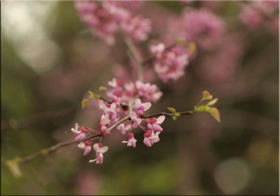 *** ����� ������  �� PhotoGeek.ru #������ ��� �������