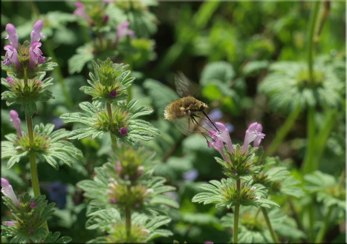 *** ����� ������  �� PhotoGeek.ru #������ ��� �������