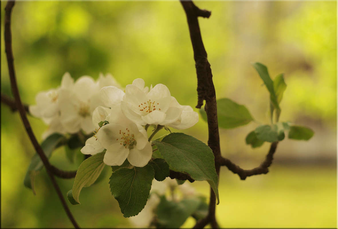 *** ����� ������  �� PhotoGeek.ru #������ ��� �������