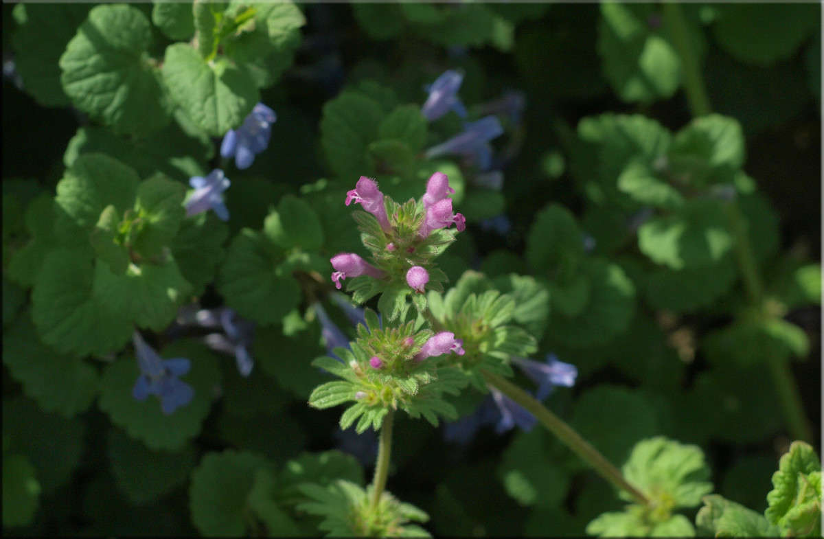 *** ����� ������  �� PhotoGeek.ru #������ ��� �������