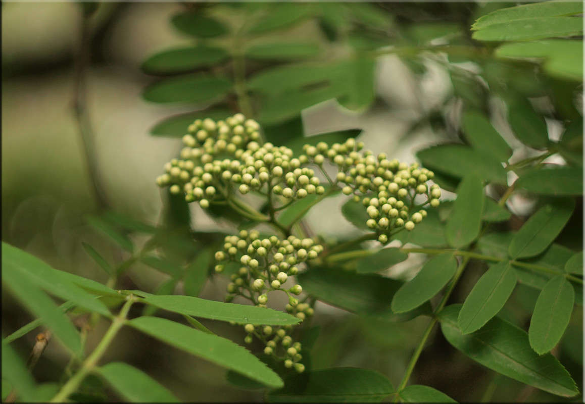 *** ����� ������  �� PhotoGeek.ru #������ ��� �������