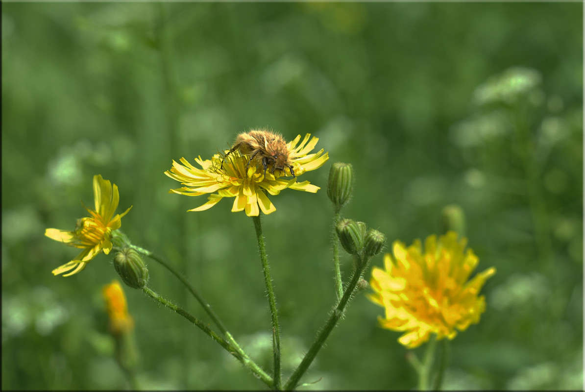 ����� ����� ������  �� PhotoGeek.ru #������ ��� �������