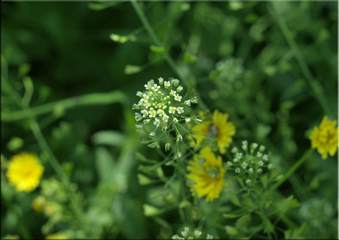 �� �������� ����� ������  �� PhotoGeek.ru #������ ��� �������