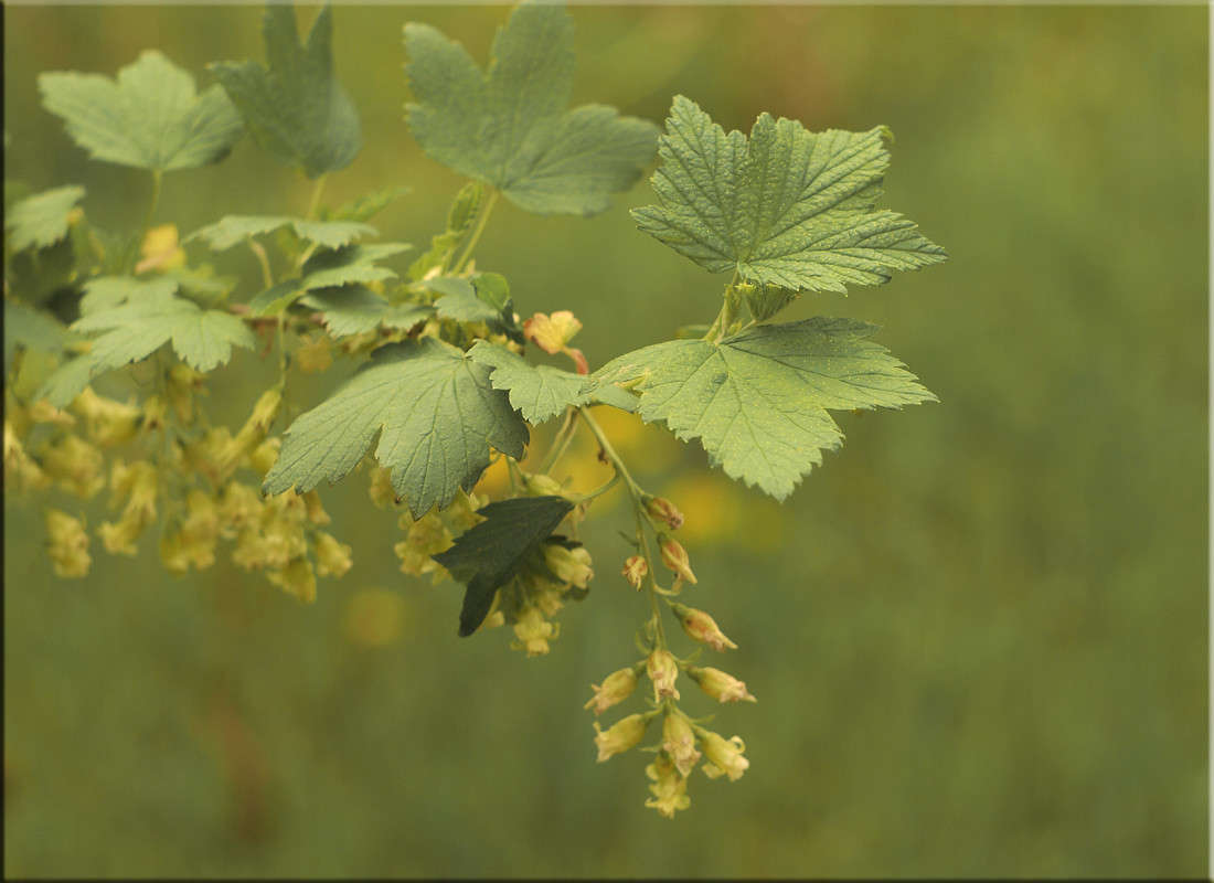 ��������� ������ ����� ������  �� PhotoGeek.ru #������ ��� �������